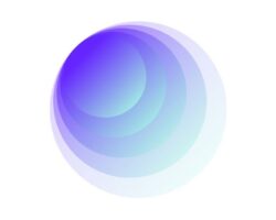 455706647_122176083998196821_283095833733347064_n (1)